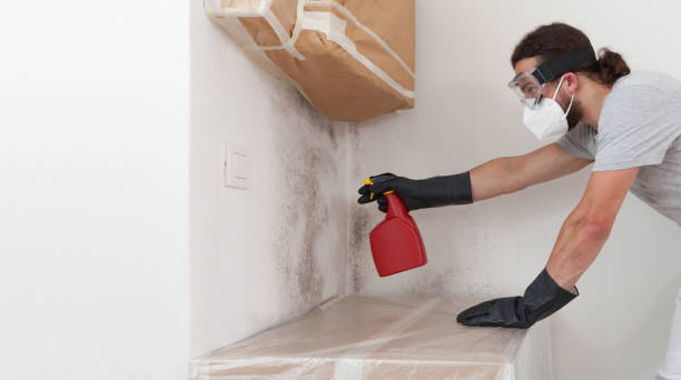 Professional Bathroom Mold Removal technician working in Myakka City, FL